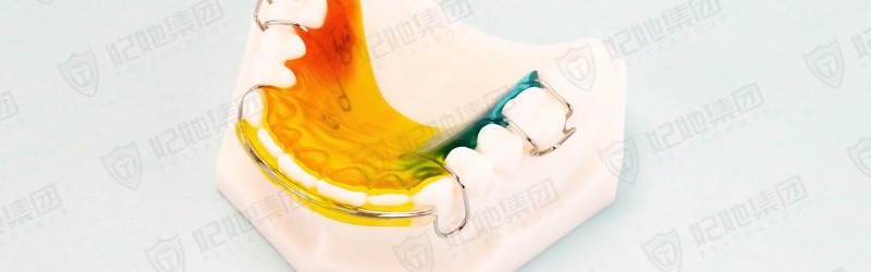 Hawley Retainer改良式哈雷保持器(半口)