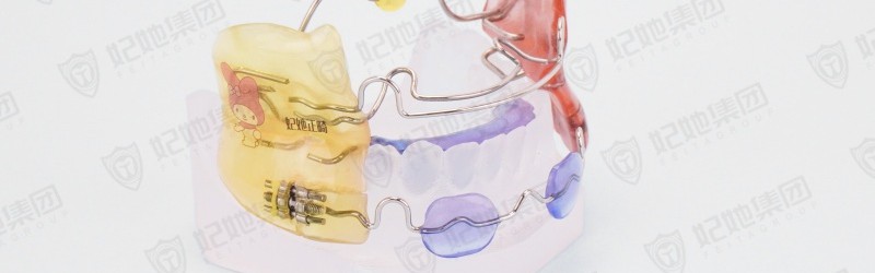 Frankel Ⅱ(可调式FR2)