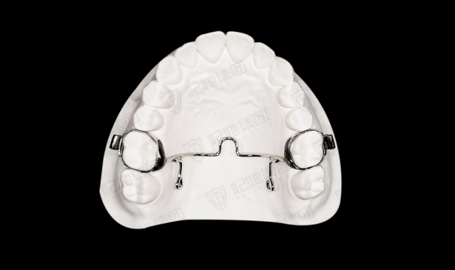 固定双侧磨牙竖立器