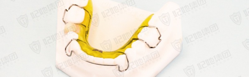 功能保持器（半口）