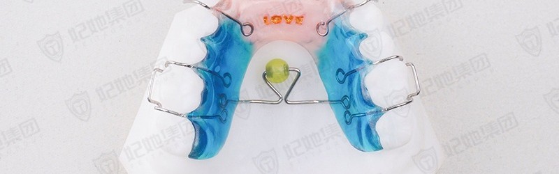 颚珠式舌诱导器