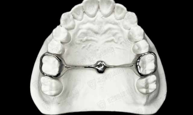 TPA横腭杆（3D一体成型）