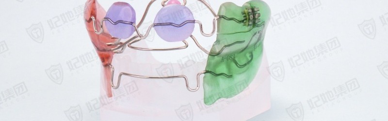 Frankel Ⅲ可调式FR3