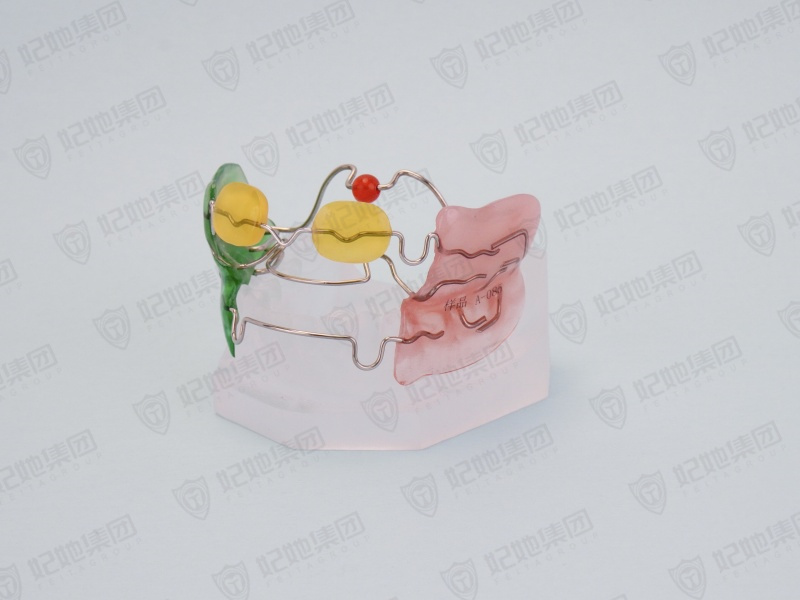 157-Frankel Ⅲ(FR3).jpg