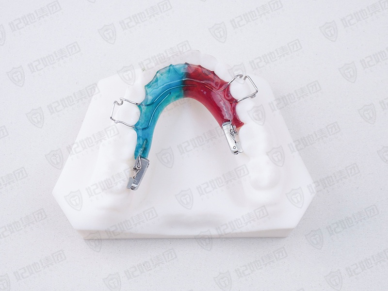 175-1-螺旋簧双侧磨牙竖立器 .jpg