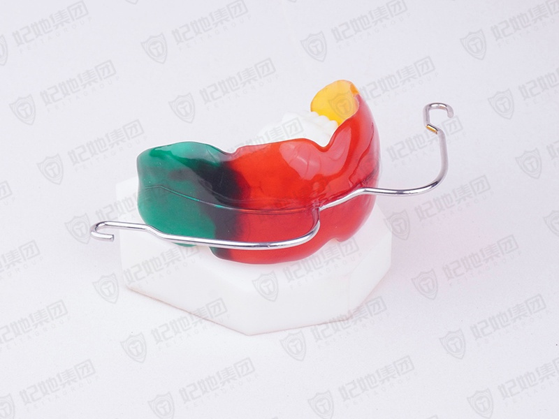 018-口外弓前庭盾 .jpg